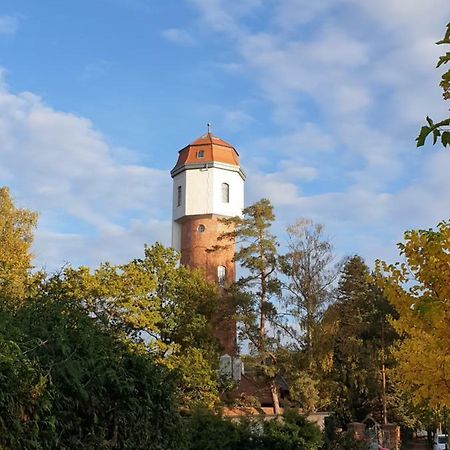 Historischer Wasserturm Von 1913 Graal-Mueritz Exteriör bild